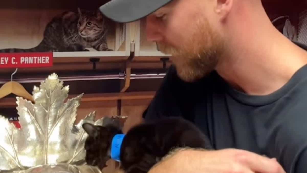 Sam Bennett célébre le Conn-Smythe entouré d'adorables petits chats 🐱 ...